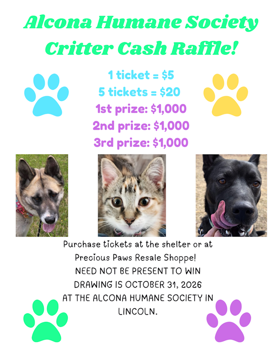 critter cash